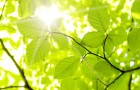 生理中はよもぎ蒸しをしない方が良いたった２つの理由